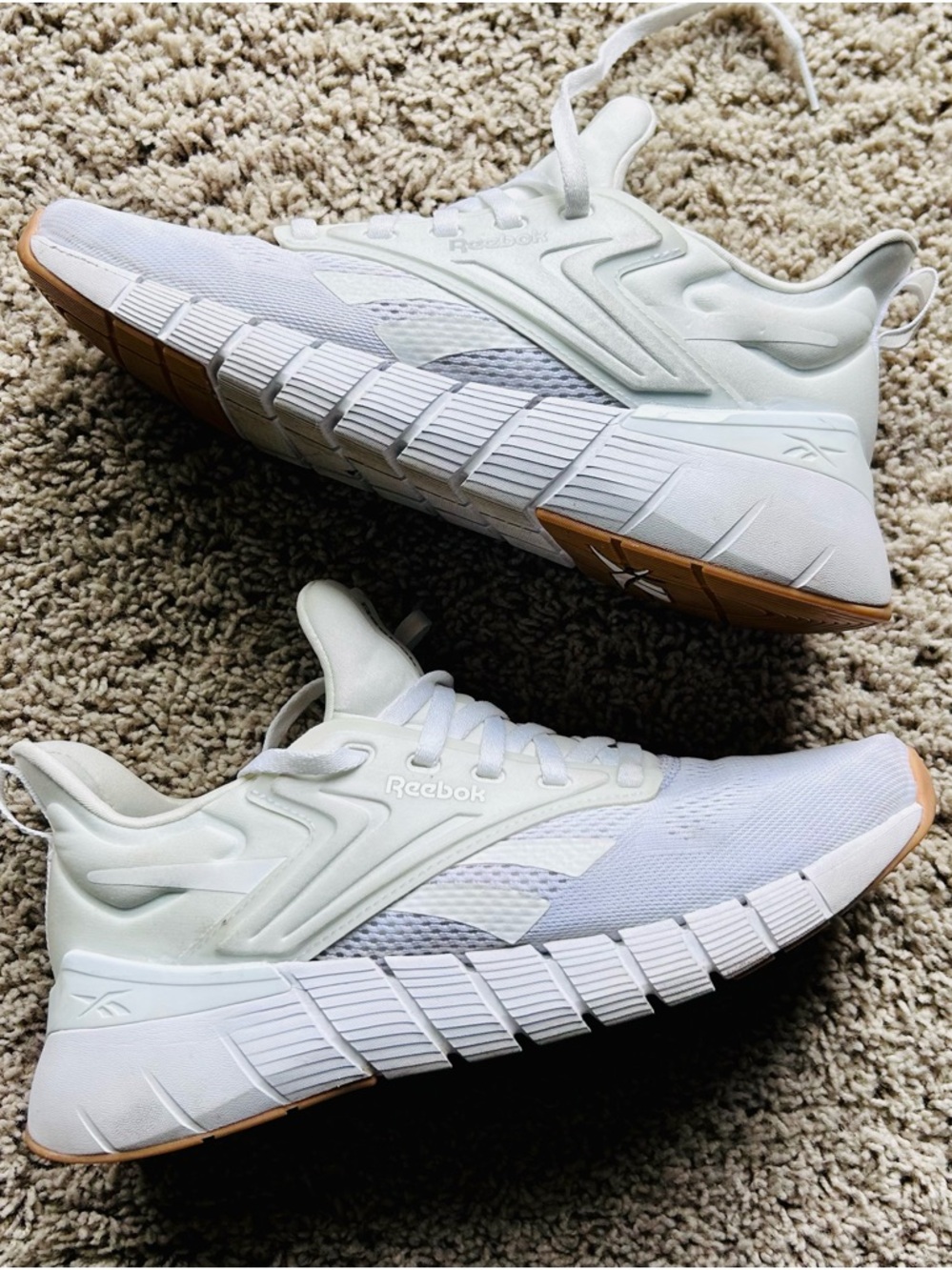 Reebok Nano Gym Sneaker (size 9.5)